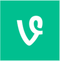 vine