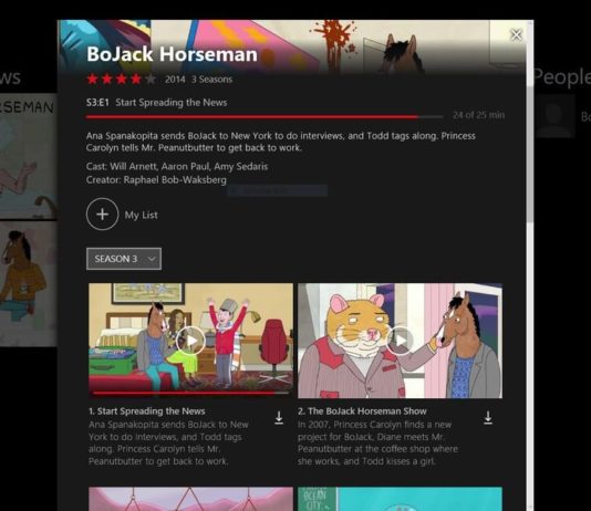 Netflix for Windows 10