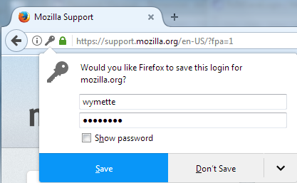 Mozilla Password Mnager