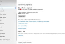 Windows Update on Windows 10