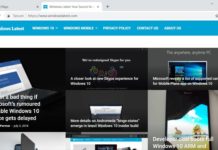 Google Chrome Canary