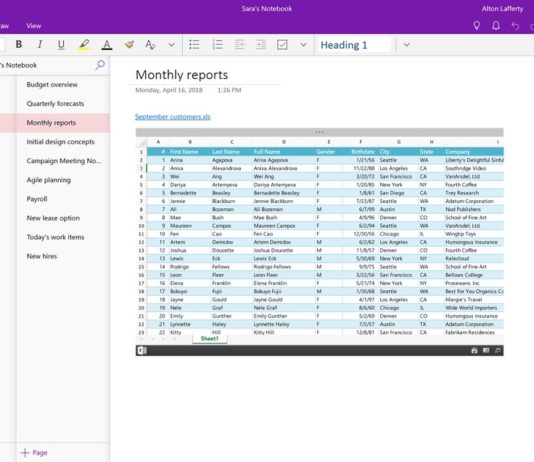 OneNote