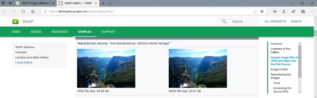 WebP for Microsoft Edge