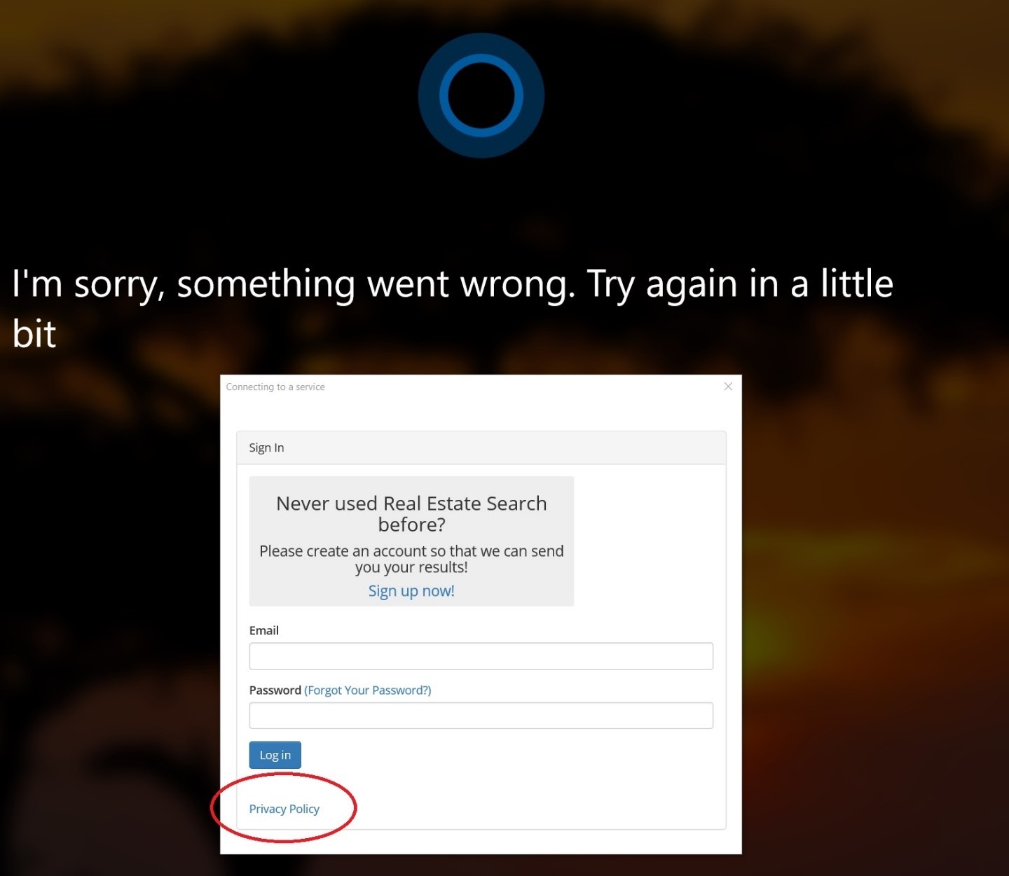 cortana bug