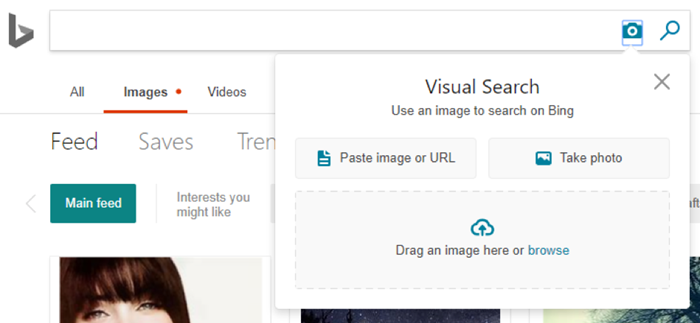 Visual search