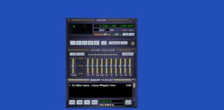 Winamp for Windows