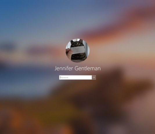 Windows 10 login