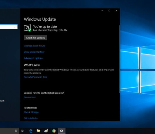 Windows 10 update check