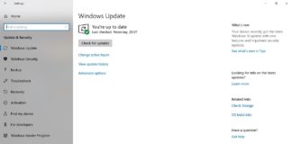 Windows 10 update check