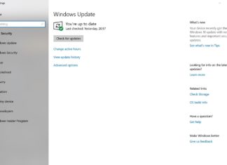 Windows 10 update check