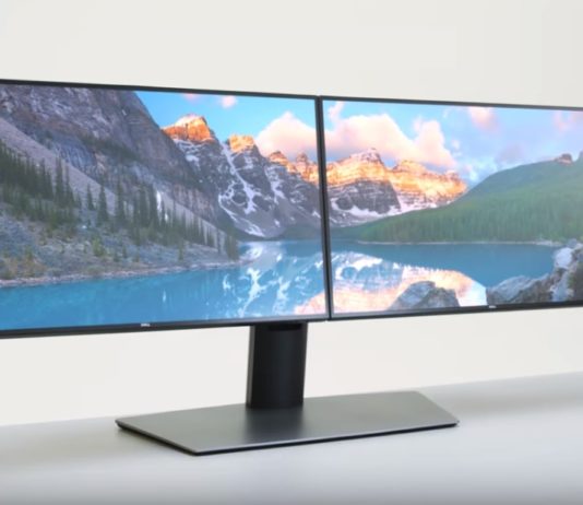 Dell dual monitor