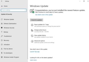Microsoft will finally allow Windows 10 Home users to pause updates