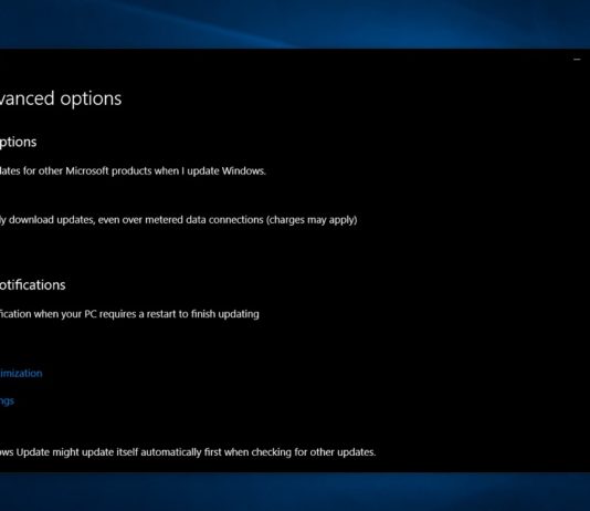 Microsoft will finally allow Windows 10 Home users to pause updates Windows 10 Home Updates