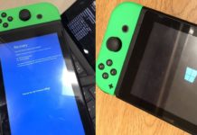 Nintendo Switch and Windows 10