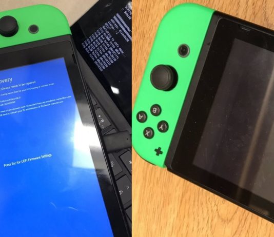 Nintendo Switch and Windows 10