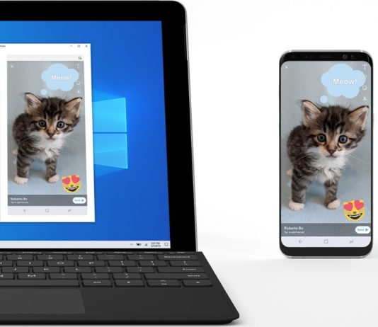 Windows 10 mirroring feature
