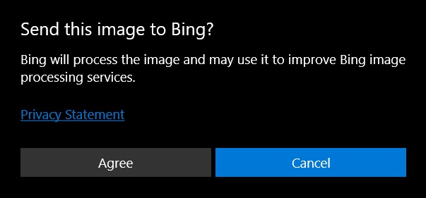 Bing in Microsoft Photos