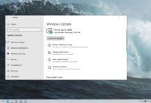 Install Windows 10 May 2019 Update