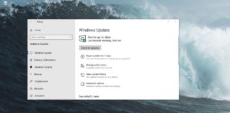 Install Windows 10 May 2019 Update