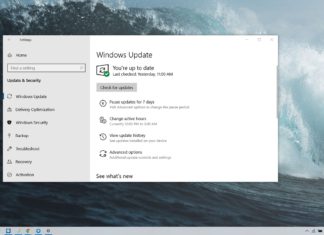 Install Windows 10 May 2019 Update