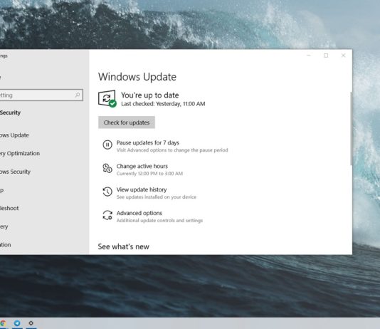 Install Windows 10 May 2019 Update