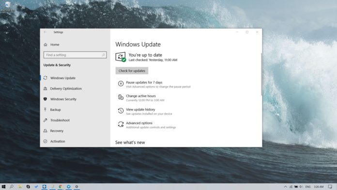 Install Windows 10 May 2019 Update
