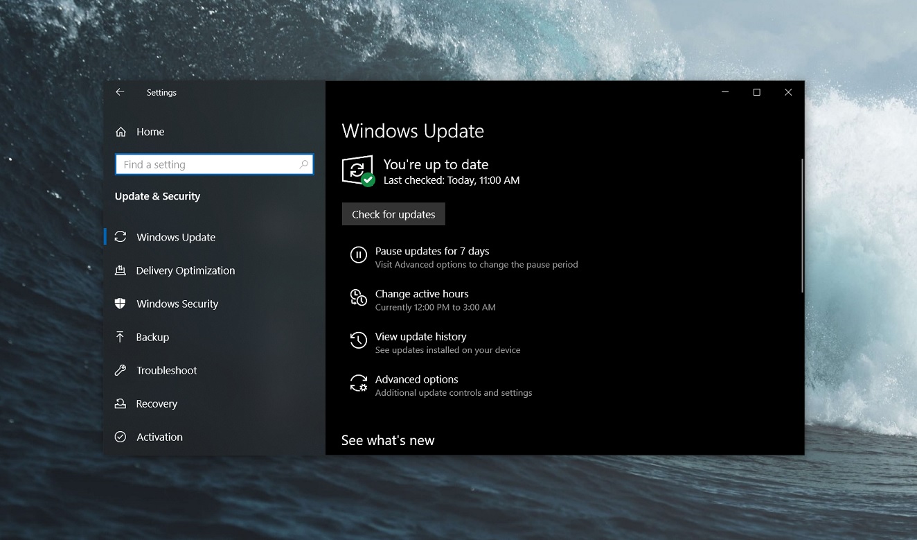 Windows 10 May 2019 Update is now available