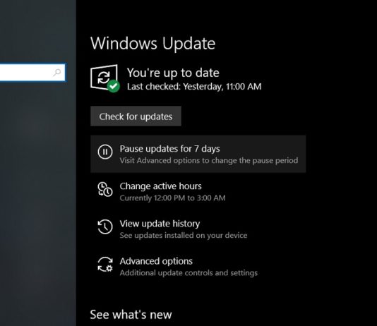 Windows Update setting