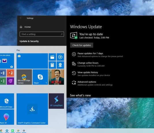 Windows 10 version 1903