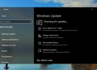 Windows Update in v1903