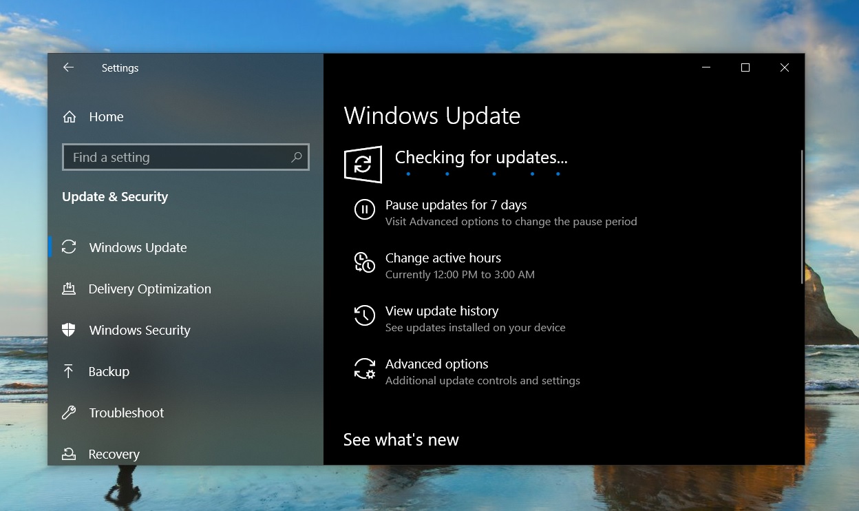 Windows Update in v1903