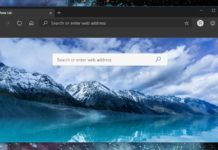 Edge Canary on Windows 10