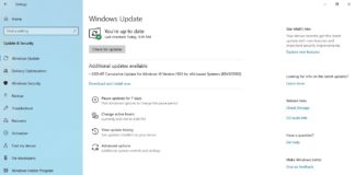 Windows 10 KB4505903