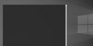 Windows search