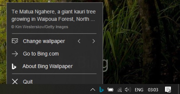 Bing Wallpaper updates your desktop with Bing's image of the day