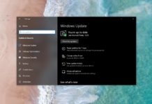 Windows 10 check for updates