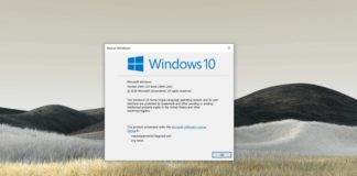 Windows 10 version 2004