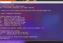Windows Package Manager