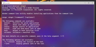 Windows Package Manager