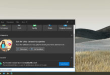 Windows Search ad