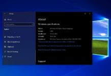 Windows 10 version 2004 update