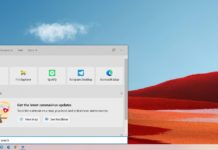 Windows Search