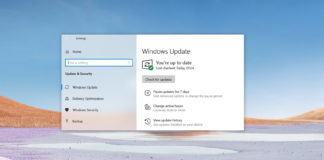 Windows 10 21H1