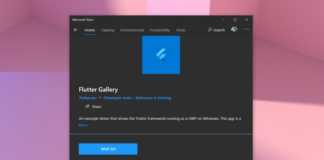 Flutter for Windows 10