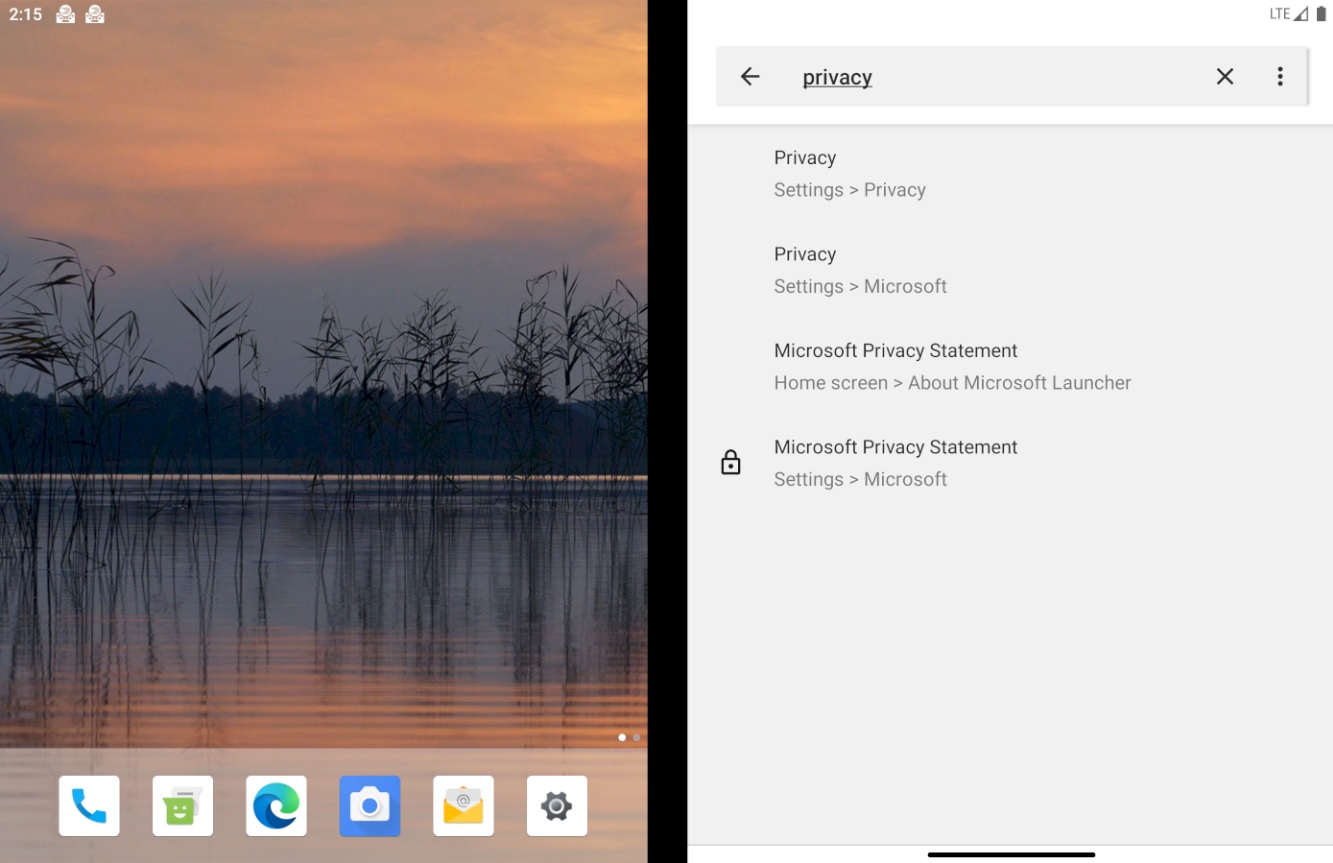 Surface Duo privacy search result