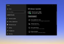 Windows 10 20H2 update