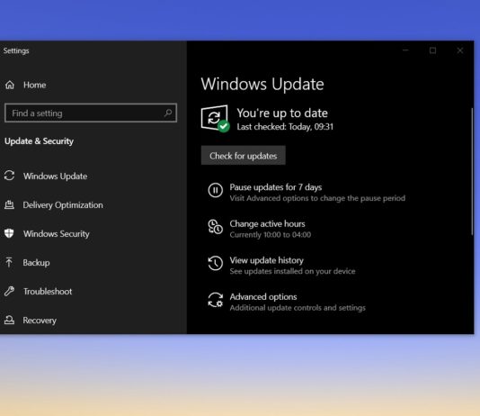 Windows 10 20H2 update