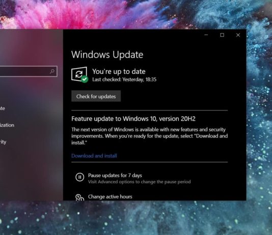 Windows 10 October 2020 Update issues