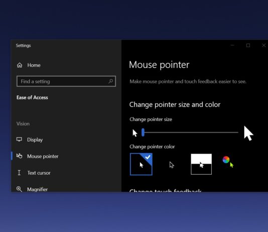 Windows 10 mouse pointer
