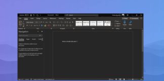 MS Word for Windows 10